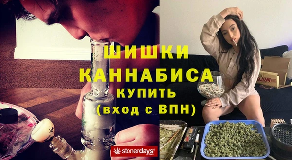 амф Бронницы