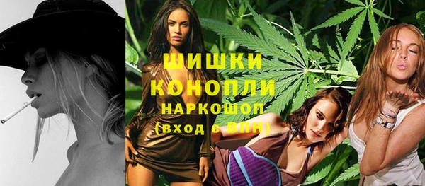 амф Бронницы